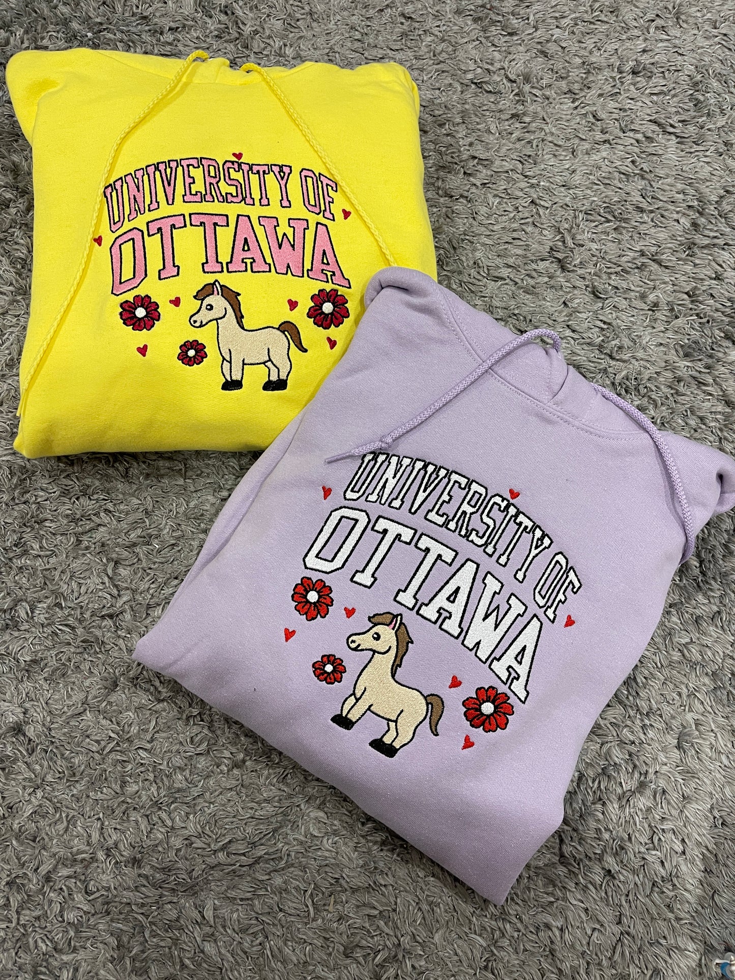 Custom College Hoodie/Sweatshirt
