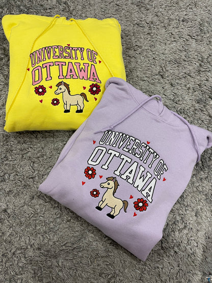 Custom College Hoodie/Sweatshirt