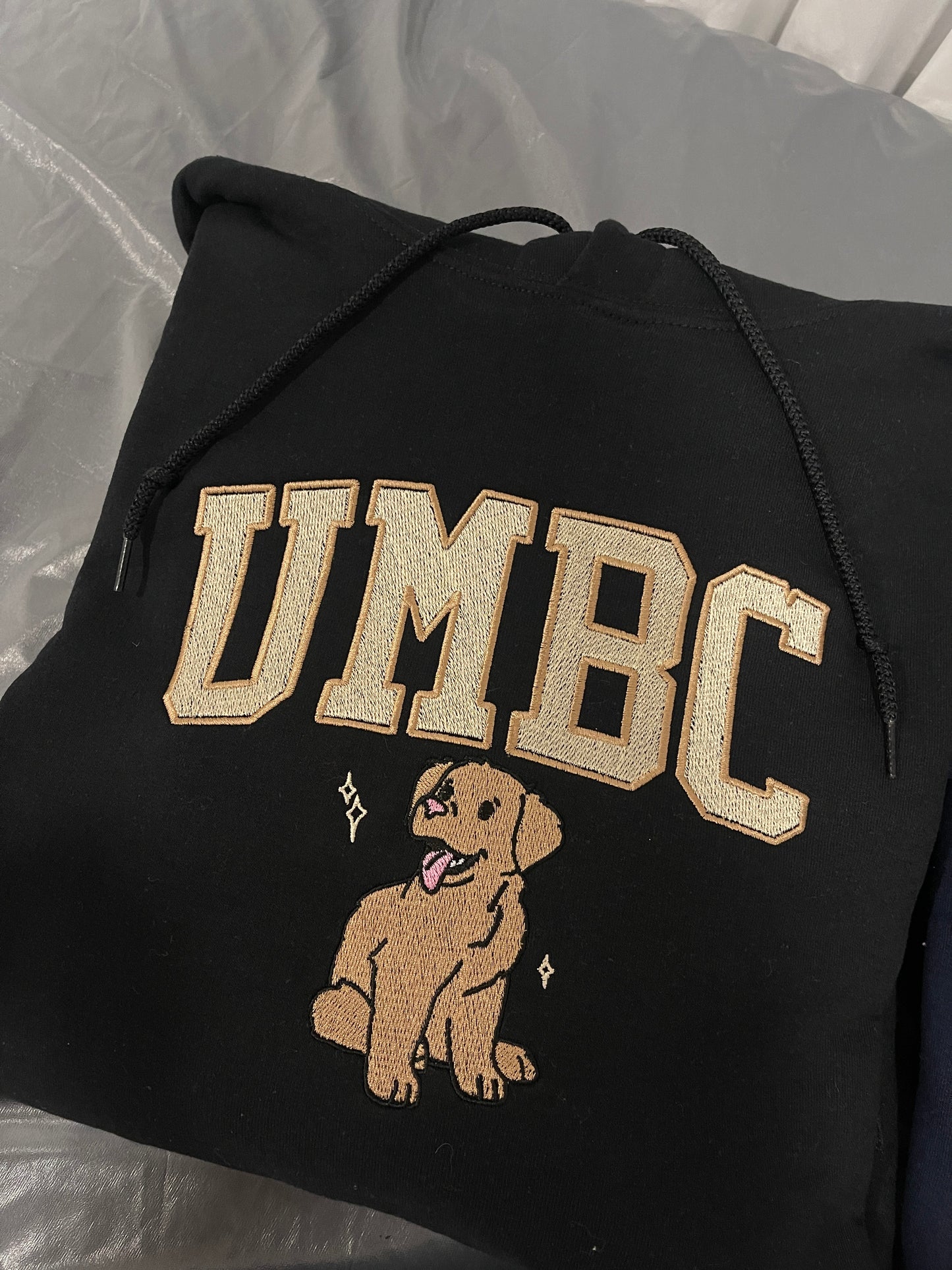 Custom College Hoodie/Sweatshirt