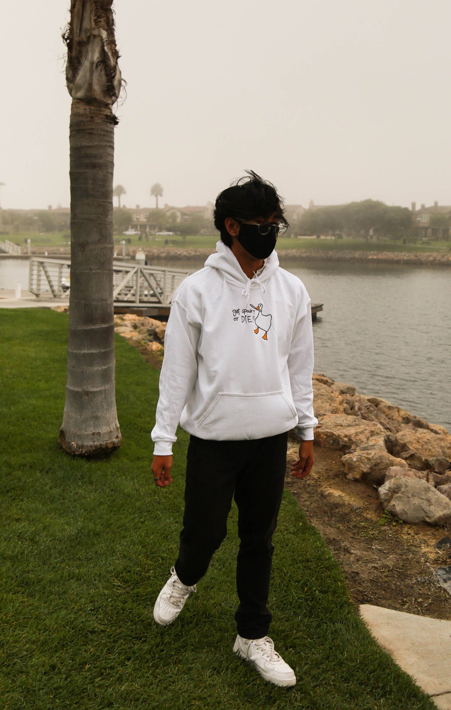 Get Spooky Goose Hoodie