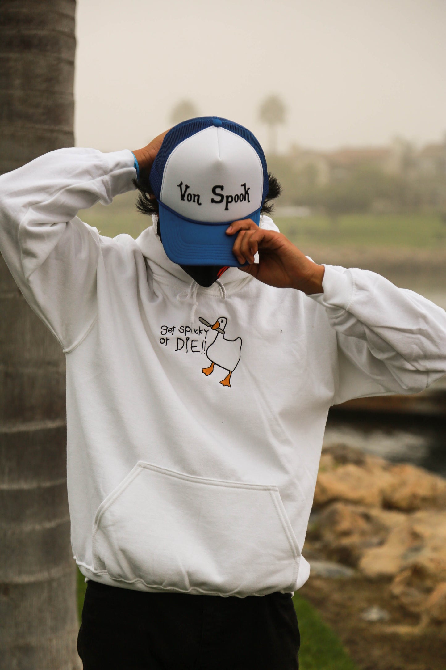 Get Spooky Goose Hoodie