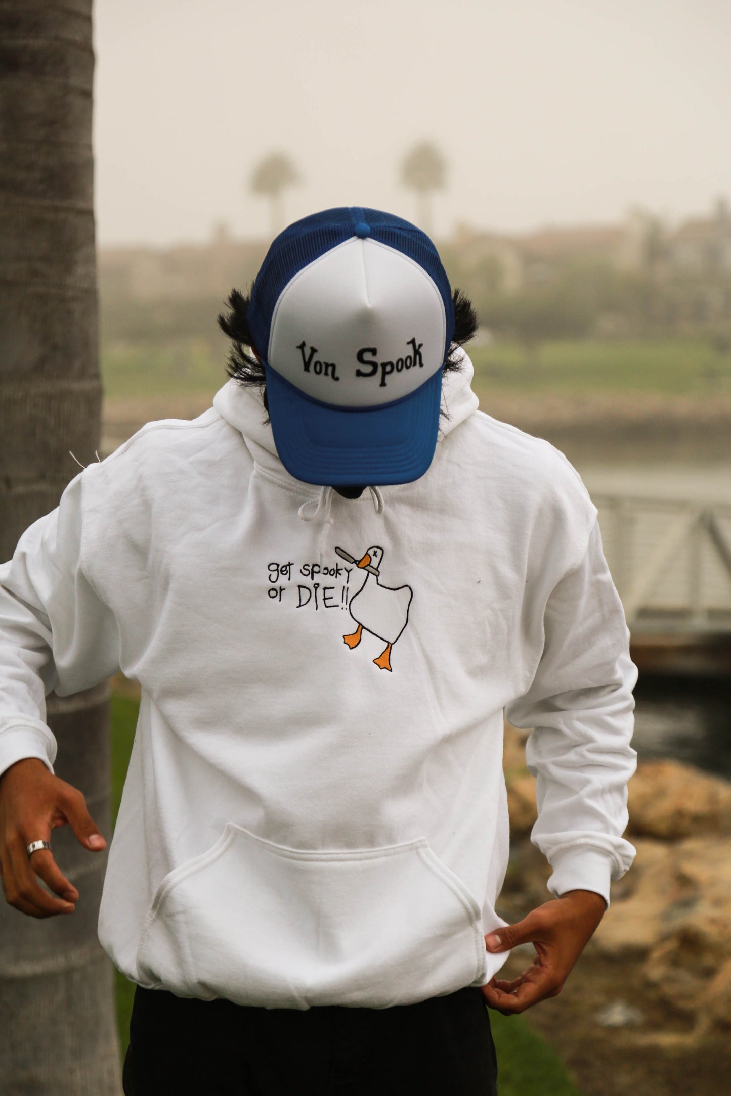 Get Spooky Goose Hoodie